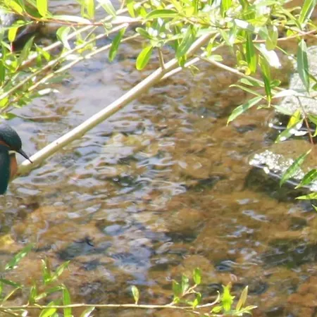 דירה Riverside נארסבורו