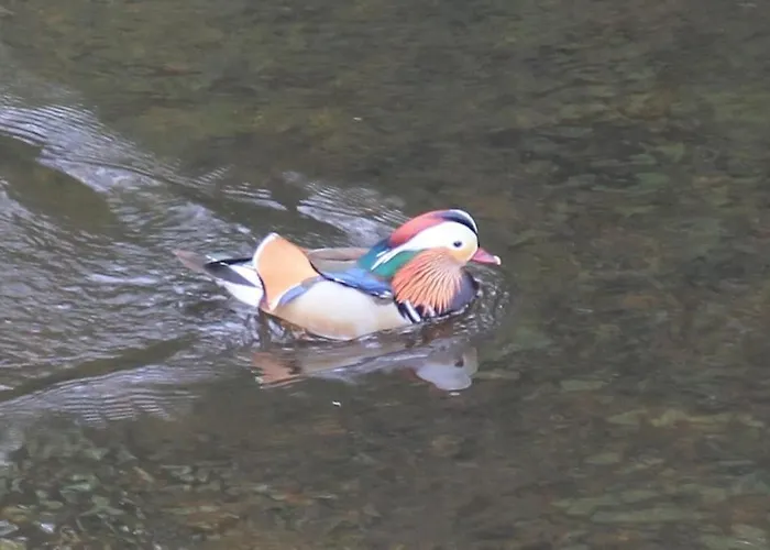 Riverside * Knaresborough