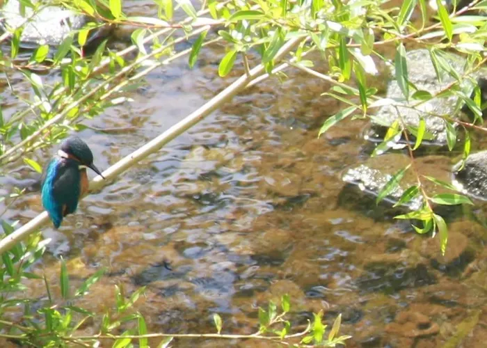 Appartement Riverside Knaresborough